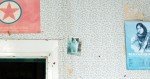 Tattered chintzy wall paper, a Kurdish freedom fighter, and a kitten.