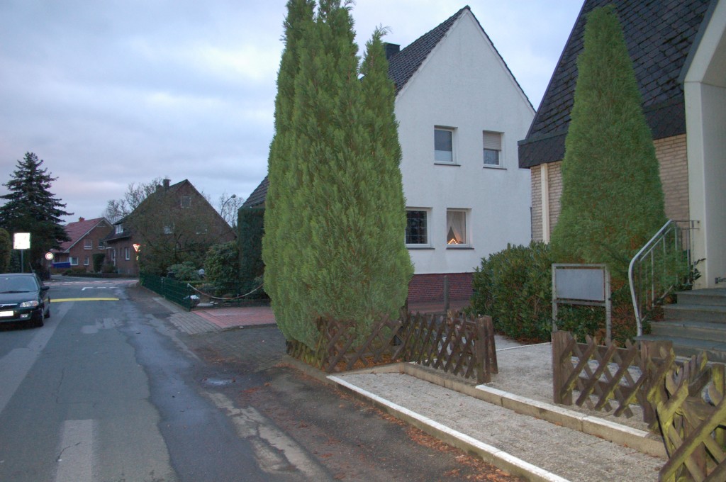 A bit of the view of the street and neighborhood.